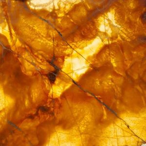 Природный камень Оникс желтый Onice Ambra