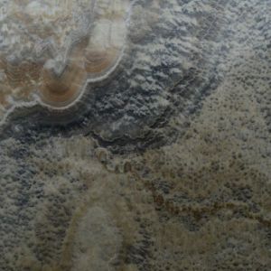 Природный камень Оникс черный Onice Landscape